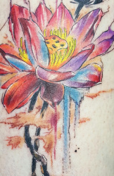 002 Lotusblume Tattoo Studio Hamburg Skinworxx