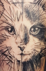001 Graphicart Katze Tattoo Hamburg Skinworxx