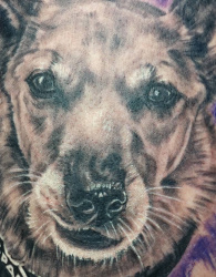 003 Tiere Hunde Tattoo Hamburg Skinworxx