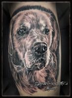 005c-tiere-_tattoo-hamburg-skinworxx