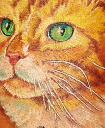 006a Tiere Katze Tattoo Studio Hamburg Skinworxx