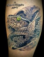 006b-tiere-_tattoo-hamburg-skinworxx