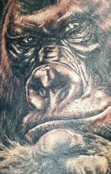 006d Tiere Gorilla Tattoo Studio Hamburg Skinworxx
