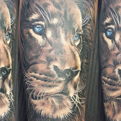 007 Tiere Loewe Tattoo Studio Hamburg Skinworxx