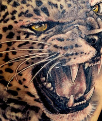 007a Tiere Tattoostudio Hamburg Skinworxx