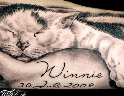 025a Tiere Katze Tattoo Studio Hamburg Skinworxx