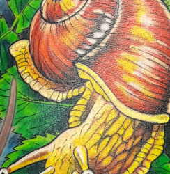 02b   Tiere   Tattoo Hamburg Skinworxx