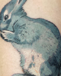 05   Tiere   Tattoo Hamburg Skinworxx